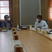 Kemenkes Pastikan Yogyakarta Siap Menjadi Tuan Rumah Health Working Group G20 Pertama