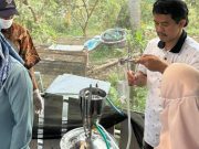 Sabun Herbal Berbasis Tanaman Obat lokal: Hilirisasi Hasil Penelitian